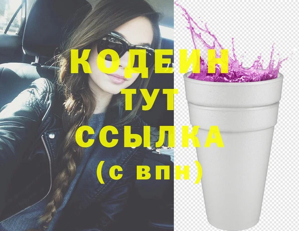 хмурый Дмитровск