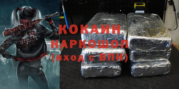 spice Дмитриев