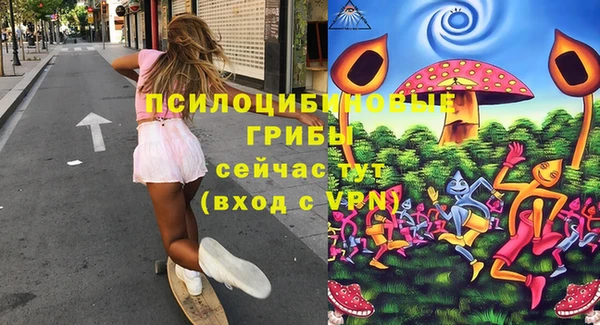 хмурый Дмитровск