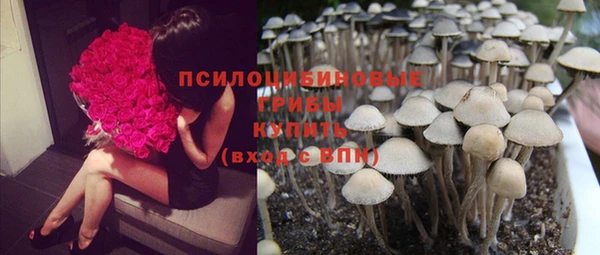 ALPHA PVP Вязьма